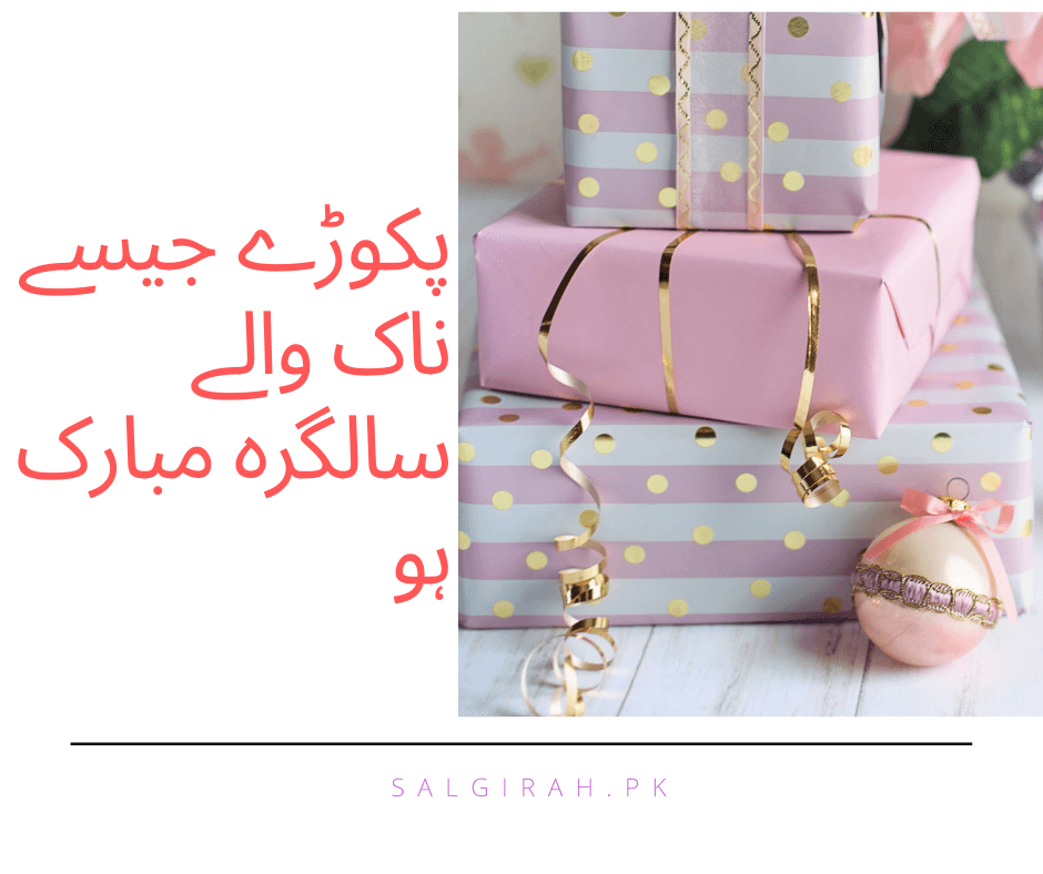 پکوڑے جیسے ناک والے سالگرہ مبارک ہو