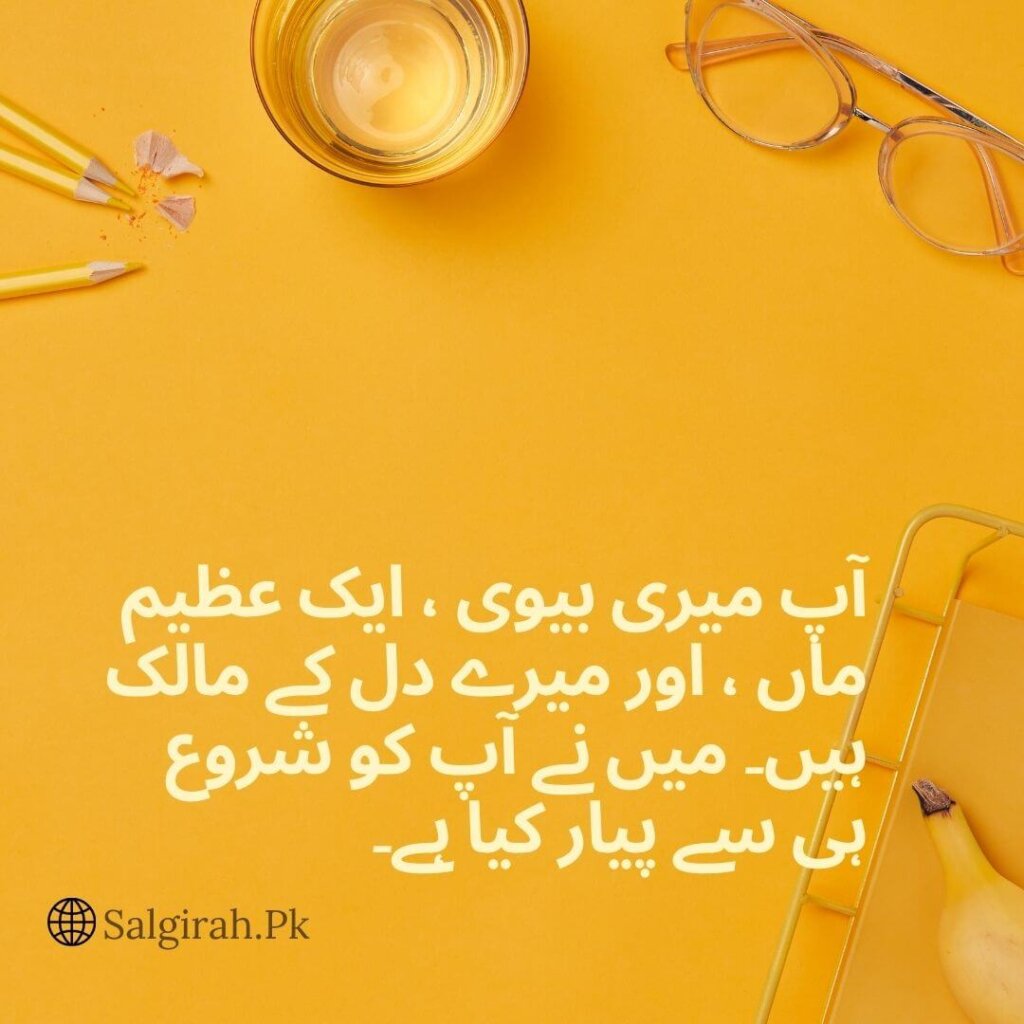 میں نے آپ کو شروع ہی سے پیار کیا ہے