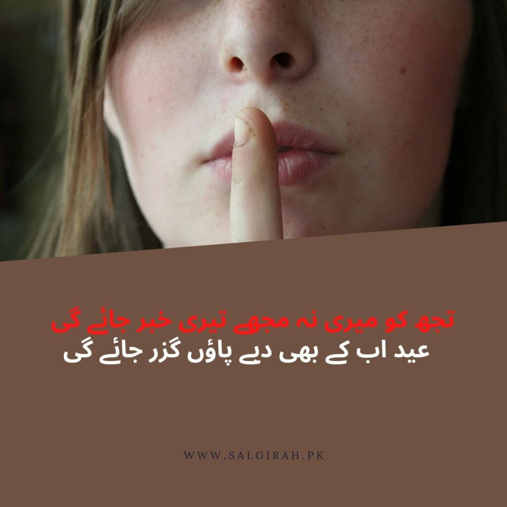 عید اب کے بھی دبے پاؤں گزر جائے گی  عید مبارک شاعری