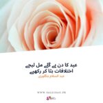 عید کا دن ہے گلے مل لیجے