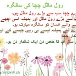 رول ماڈل چچا کی سالگرہ