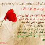 بھتیجی کے چچا کو سالگرہ مبارک