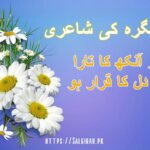 سالگرہ کی شاعری
