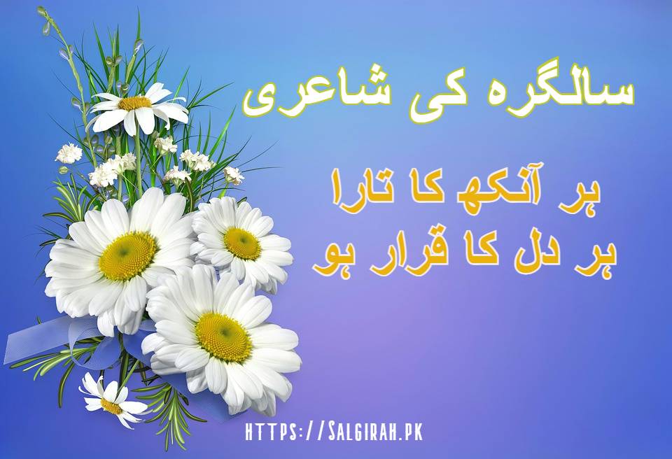 سالگرہ کی شاعری