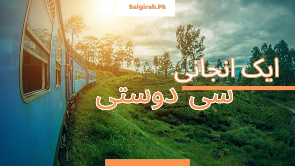 ایک انجانی سی دوستی
