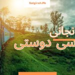 ایک انجانی سی دوستی